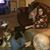 Karen Chaussee's profile image