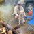 Robert Stange's profile image