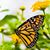 Margaret Brown's profile image