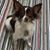 Crystal L Shue's profile image