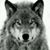 Steve Sheets's profile image