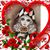 Clara Sue Gutierrez's profile image