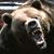 Brandon Trujillo's profile image