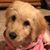 Julie King's profile image