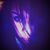 Steph Holmes's profile image