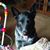 Teresa Kirkpatrick's profile image