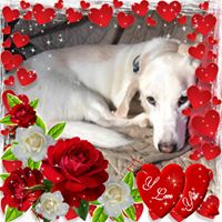 Rick Jacobs's profile image