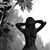 Lisa DiPaula's profile image