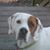 Dawn Hess-Hoffman's profile image