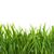 Alabama Landscaping Services, LLC".'s profile image