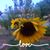 Betsey Jane Wegrzynek Deller's profile image