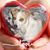 Nancy R Chambers's profile image