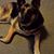 Melinda Mitchell's profile image