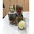 Connie Weese's profile image