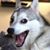 Jacob Delagarza's profile image