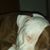 Kevin Levy's profile image