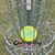 Tracy Smith's profile image