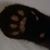 Andria Dawn's profile image