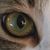 Raeb Sew's profile image