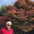 Mukesh Rana Malhotra's profile image