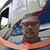Lamar Seagraves's profile image