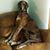 Marcia Holleman's profile image