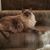 Liz Shackelford's profile image