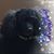 Candas Konop's profile image