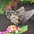 Mary Ann Ready's profile image