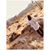 Kate Buikema-ODonnell's profile image