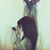 Rachel Croteau's profile image