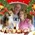 Ted Boltze's profile image
