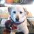 Amy Lynn Hill's profile image