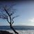 Anna Ethington's profile image