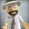 Vinny Collica's profile image