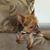 Terry Wamprecht's profile image