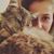 Ria Nicole Carmin's profile image