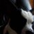 Trenna Lyndecker's profile image