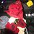 Jackey O'fiesh's profile image