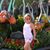 Tina Giordano's profile image
