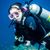 Anne Paulin's profile image