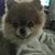 Carol Schnabel's profile image