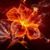 Soizic Bluestone's profile image