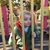 Lynn Rector's profile image