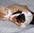 Sheryl Potter Azhar's profile image
