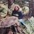 Robin Allis's profile image