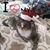 Jill Hess's profile image