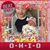 Joy Brumbaugh's profile image