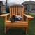 Renee Errett's profile image