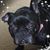 Lois Fisch's profile image